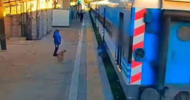 (Video) Quiso subir al tren en movimiento y cayó a las vías